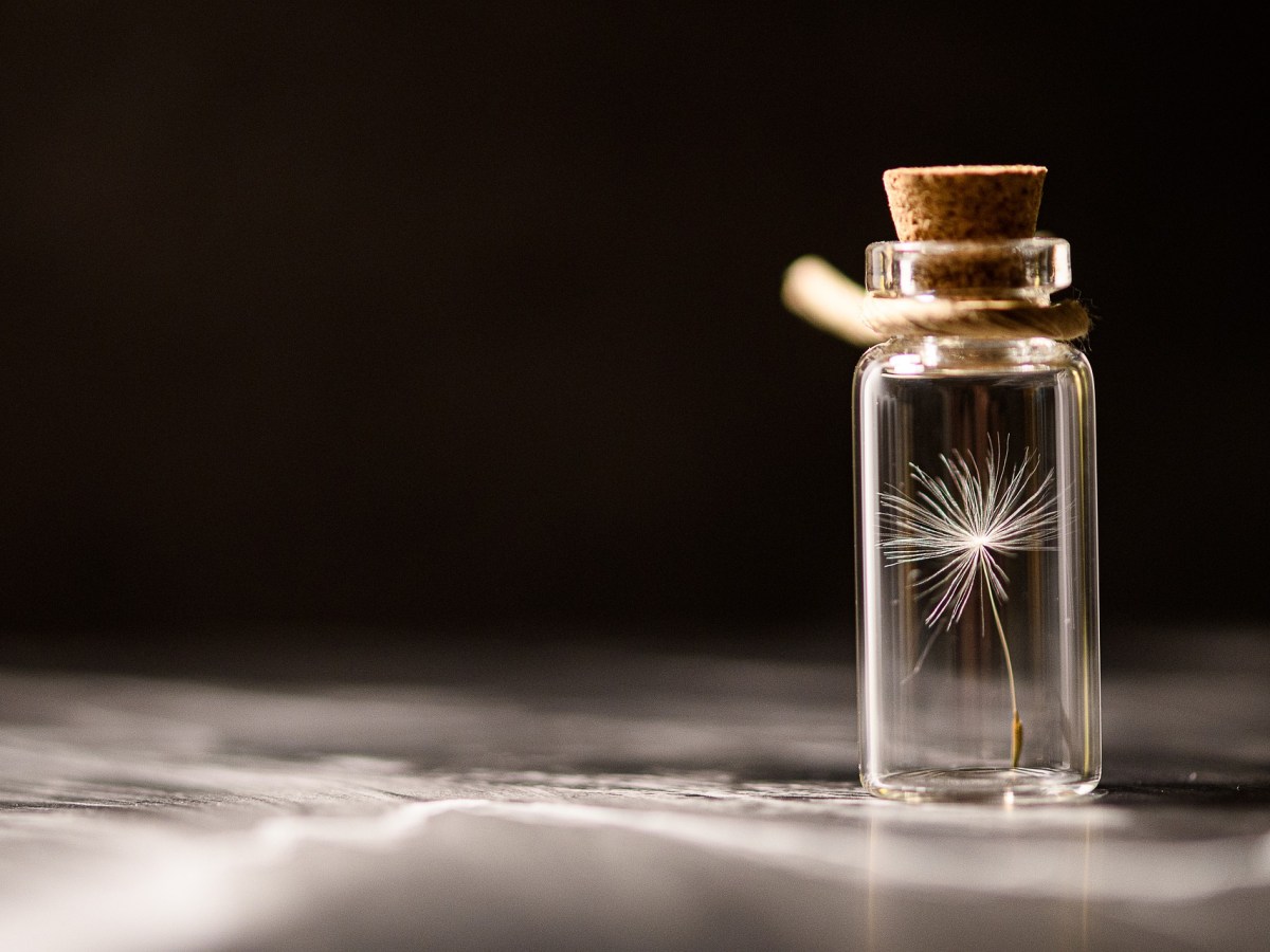 Lutte contre le Brevetage du vivant : le « retour » d’un « vieux » combat